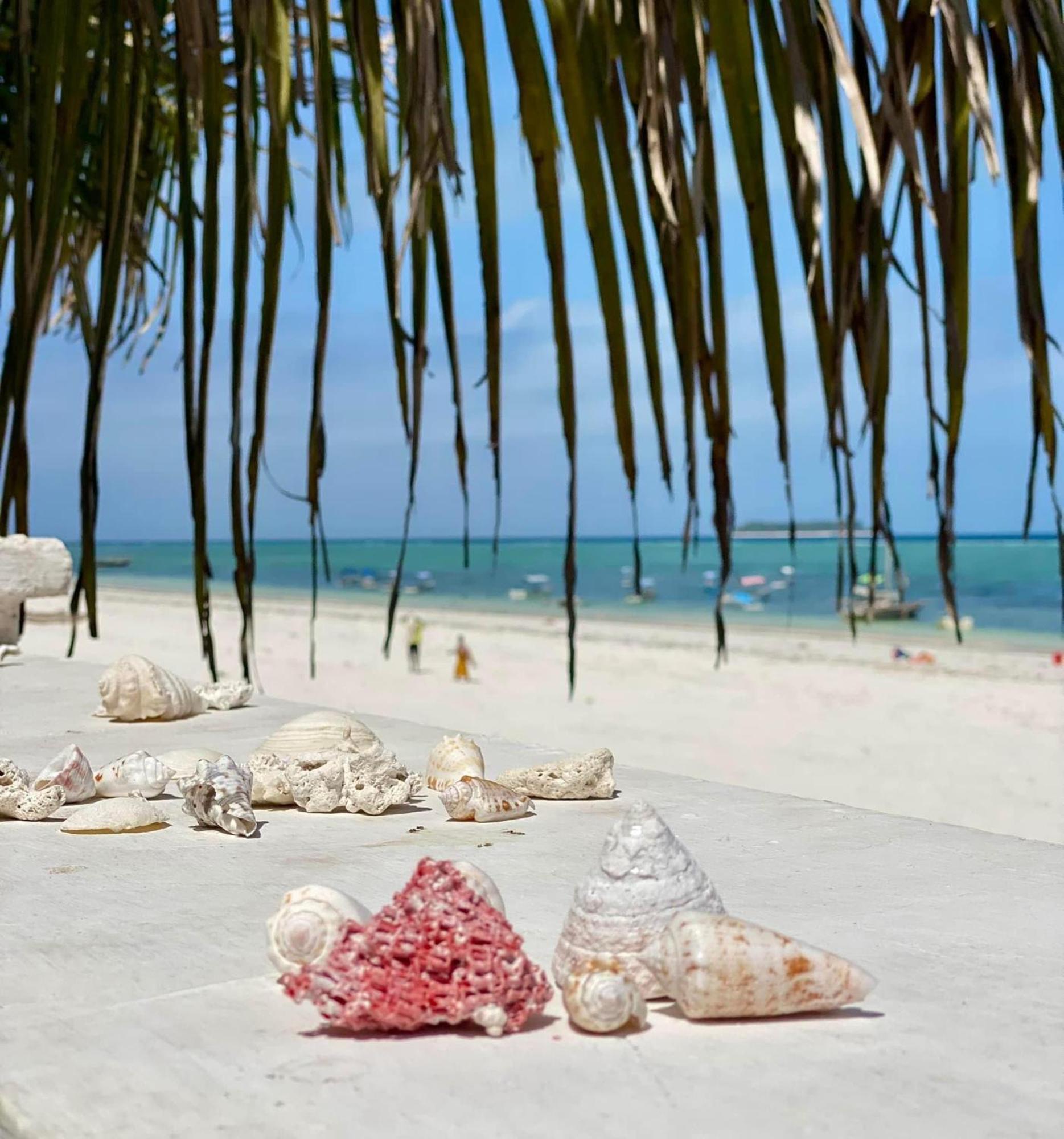 Mambo Paradise Matemwe  Exterior photo
